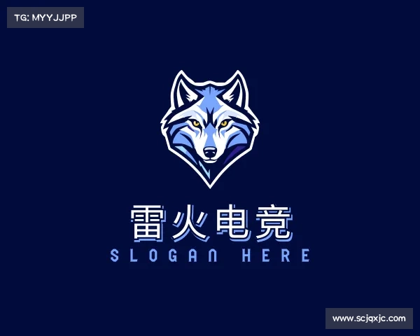 网址雷火电竞